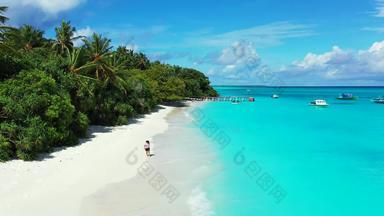 性感的快乐夫人拍的享受生活海滩清洁白色沙子蓝色的背景